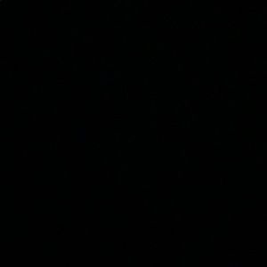 Meet your Posher, Alison